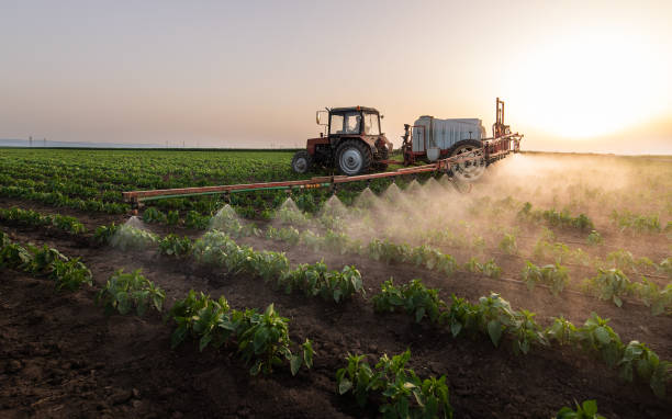 Best Best Pest Control Companies  in Winner, SD