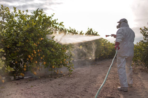 Best Affordable Pest Control Services  in Winner, SD