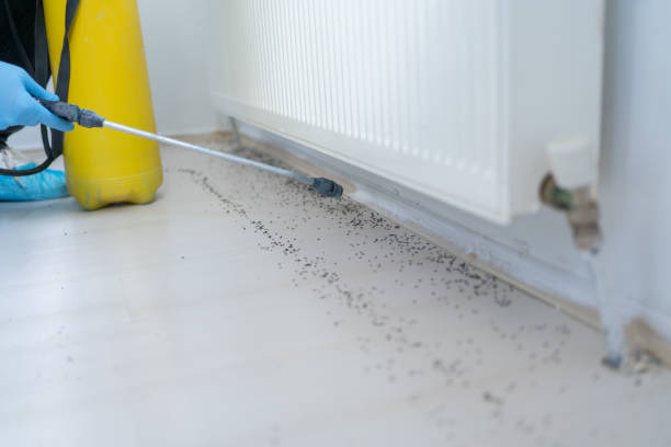 Best Affordable Pest Control Services  in Winner, SD