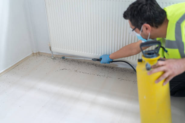 Best Cockroach Control Services  in Winner, SD