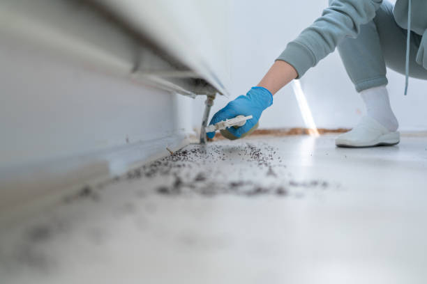 Best Residential Pest Control  in Winner, SD