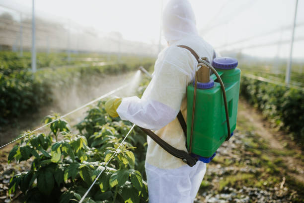 Best Mosquito Control Services  in Winner, SD